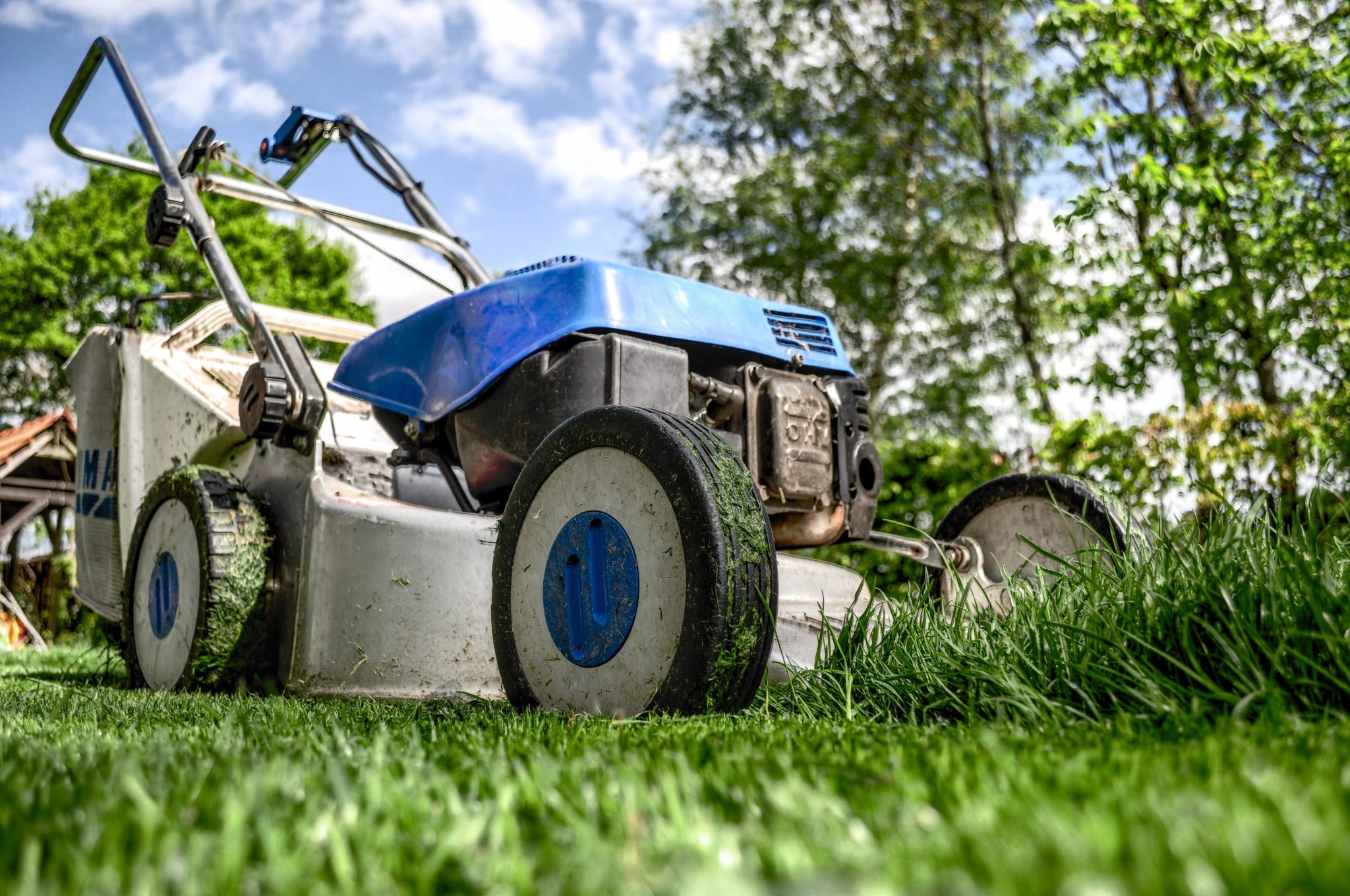 Lawnmower in a yard